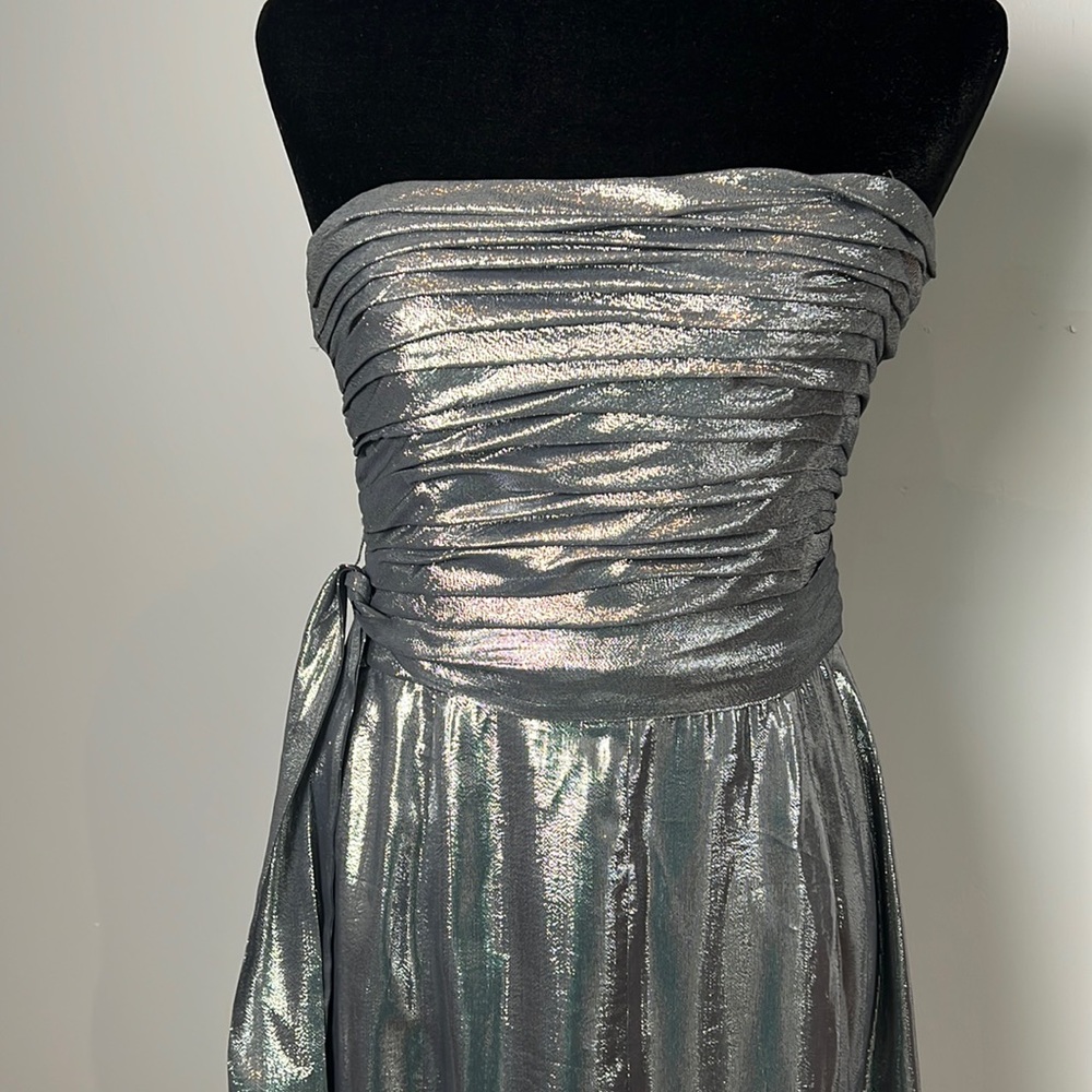 Metallic Silver David Meister Floor Length Dresd